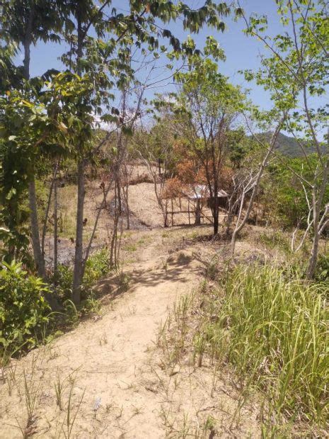 Herctare Land For Sale In Bgy Decabobo Coron Palawan