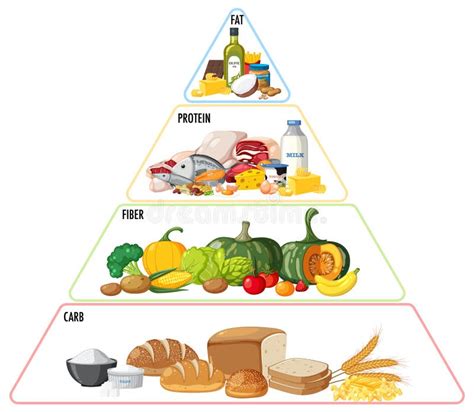 Pir Mide Dos Grupos De Nutri O Alimentar Ilustra O Do Vetor