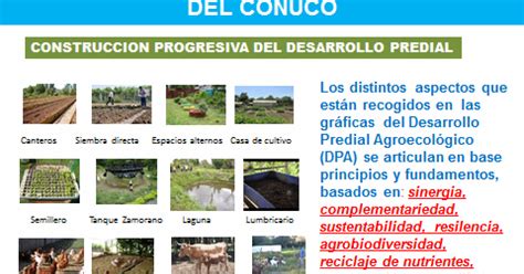 Investigo Formo Y Siembro Desarrollo Predial Agroecologico Del Conuco