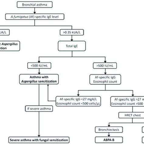 Algorithmic Approach To The Diagnosis Of Various Manifestations Of