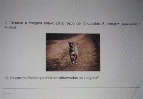 Observe A Imagem Para Responder À Questão - Observe A Imagem Para Responder à Questão - FDPLEARN