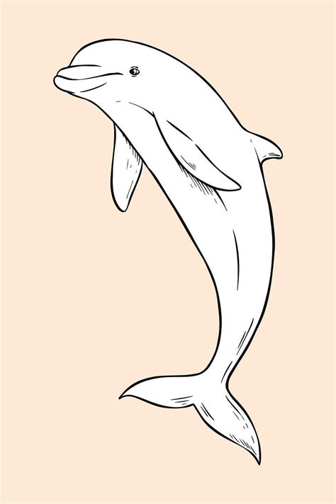 Dolphin Clipart Dolphin Drawing White Dolphin Dolphins Tattoo Free