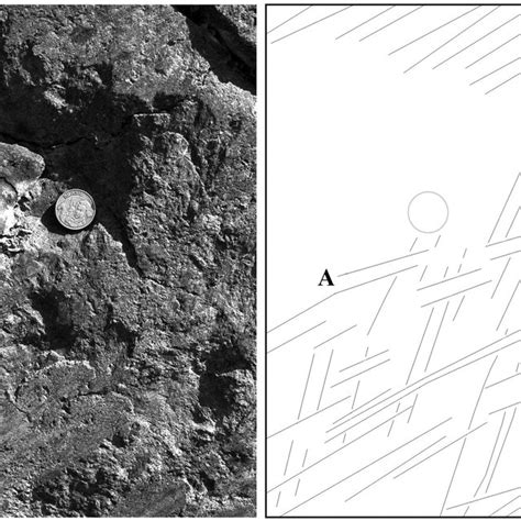 Cut Relationships Of Slickenside Striae Stria A 0066125 R D Ds 2