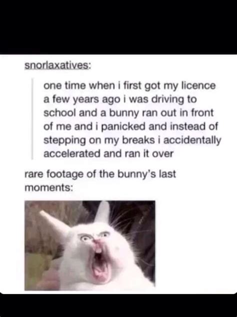 Holy Fuck I M Crying Meme By Batnut4804 Memedroid