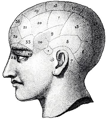 Boob Police Illustrations