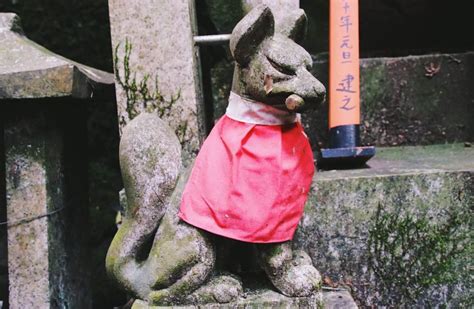 How To Visit Fushimi Inari Like A Pro | The Navigatio