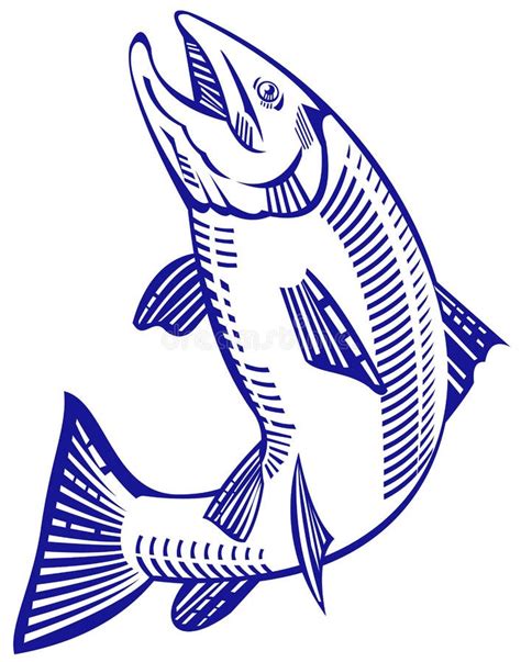 Speckled Sea Trout Vector Stock Illustrations – 8 Speckled Sea Trout ...