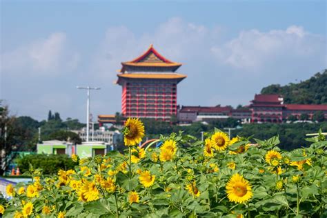 【哲學諮商室】太陽花運動10年之後，願你也找到你生命中的「公民不服從」 ｜ 褚士瑩 ／ 哲學諮商室 ｜ 獨立評論