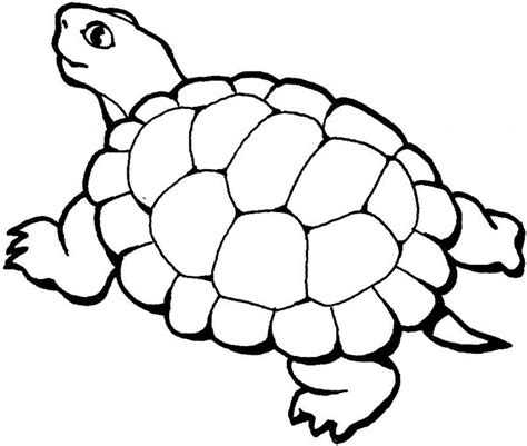 Turtle Line Art - Cliparts.co