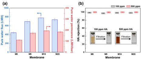 Fabrication And Investigation Of Acid Functionalized Cnt Blended Nanocomposite Hollow Fiber