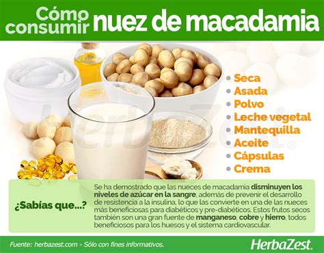 Nuez De Macadamia HerbaZest