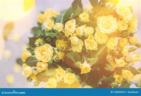 Bouquet of Yellow Roses in Sunlight - Springtime, Mother S Day and ...