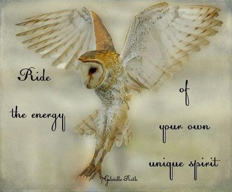 Owl Eyes Quotes. QuotesGram