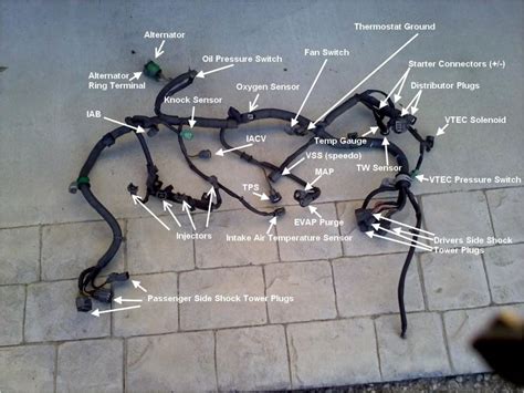 Complete Wiring Harness For Gm Part