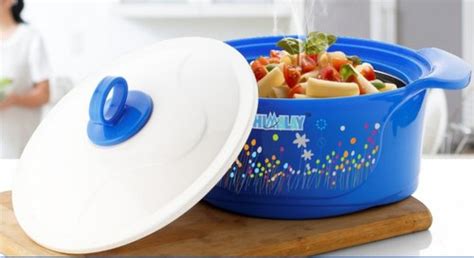 Round Color Coated Plastic Insulated Hot Pot Pattern Printed Size Standard At Rs 150
