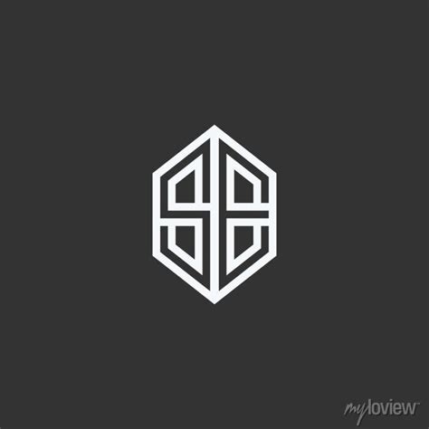 Initial Letter Se Logo Design Minimalist Line Art Monogram Hexagon