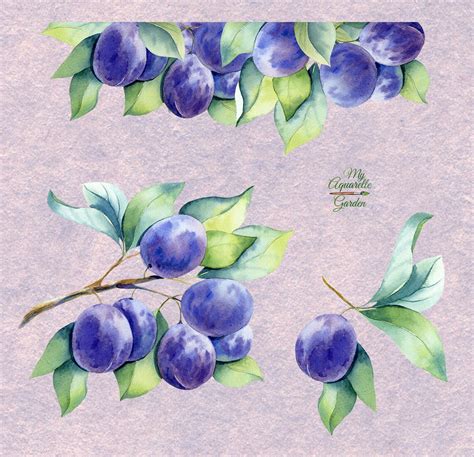 Watercolor Plums Clip Art Hand Painted Digital Paper Seamless Etsy