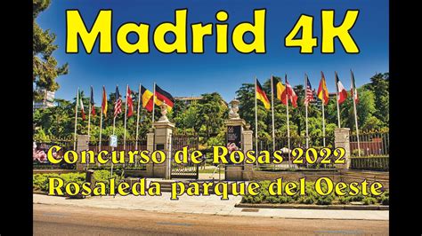 Concurso de rosas en la rosaleda del parque del oeste Madrid España 4K