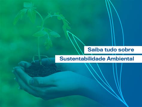 Sustentabilidade Ambiental Entenda Tudo Sobre O Assunto