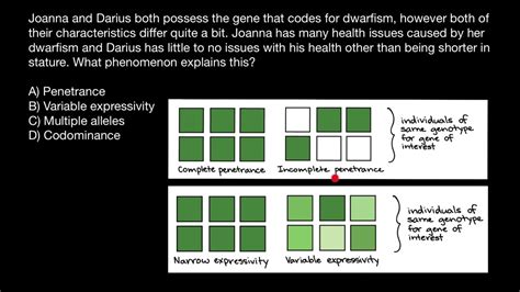 Incomplete (reduced) Penetrance vs. Variable Expressivity - YouTube