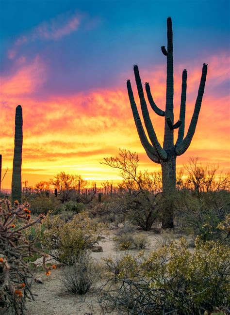 16 MAGNIFICENT Texas National Parks (Photos + Helpful Guide)