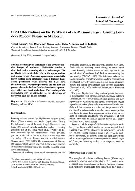 Pdf Sem Observations On The Perithecia Of Phyllactinia Corylea