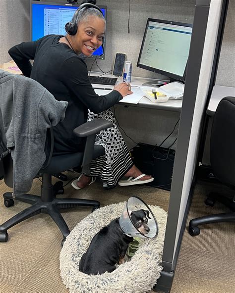 The Echelon Group | Woodstock GA