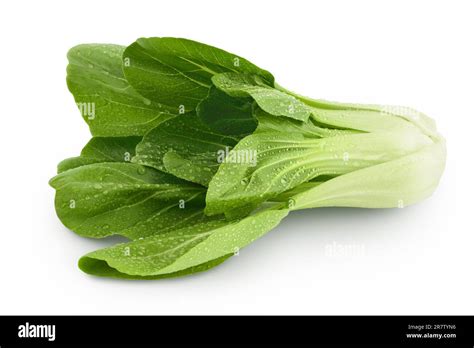 Fresh Pak Choi Cabbage Isolated On White Background With Full Depth Of