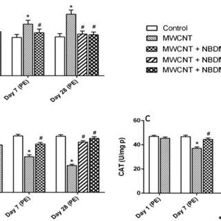 Changes In The Lpo Level A Sod Activity B And Cat Activity C Of