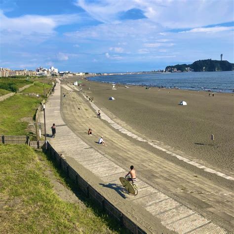 【歩いてみよう】湘南海岸公園で太陽と潮風あびる 東西18㎞をぶらり 神奈川・東京多摩のご近所情報 レアリア