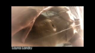 Исландия Porn Videos Pornhub