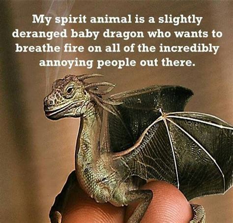 Dragon Quotes Funny Quotes Funny Memes Dragon Artwork Dragon Pictures Cute Dragons Fantasy