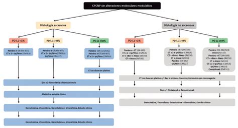 La Revoluci N De La Inmunoterapia Inhibidores De Puntos De Control