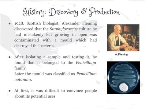 Penicillin Production