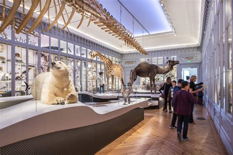 integral designers – muséum de Bordeaux