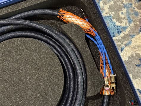 FS Siltech Classic Legend 680L Speaker Cable Photo 5196486 US Audio