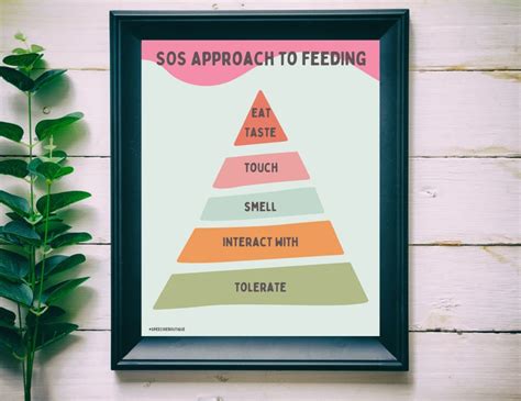 Sequential Oral Sensory Sos Approach To Feeding Etsy