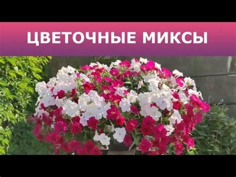 Цветочные миксы. Первая часть. 2021 год. - YouTube | Цветочные ...