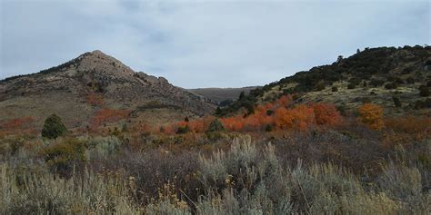 F&G's Wildlife Management Areas are a great place to hunt | Idaho Fish ...