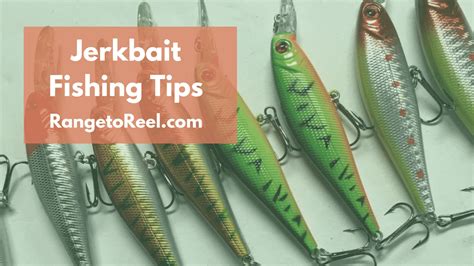 Jerkbait Fishing Tips Techniques Seasonal Favorites Rangetoreel