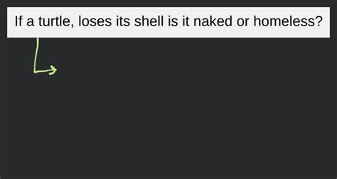 If A Turtle Loses Its Shell Is It Naked Or Homeless Filo