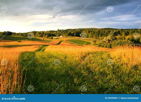 Meadow at Sunset stock image. Image of field, empty, evening - 29599891