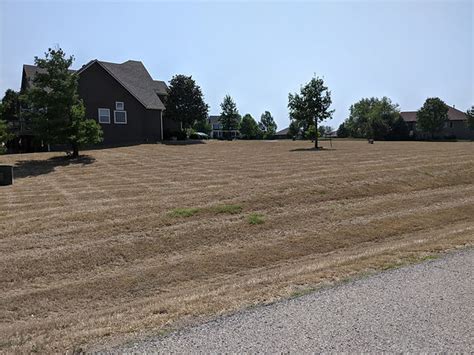 Bison Lawns Lawn Insect Control In Olathe Overland Park Spring Hill