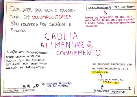 Mapa Mental Cadeia Alimentar - MAPA MENTAL SOBRE CADEIA ALIMENTAR - Maps4Study