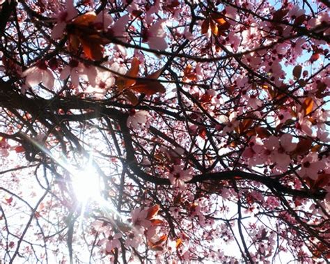 Donde no falta voluntad siempre hay un camino Primavera verano otoño