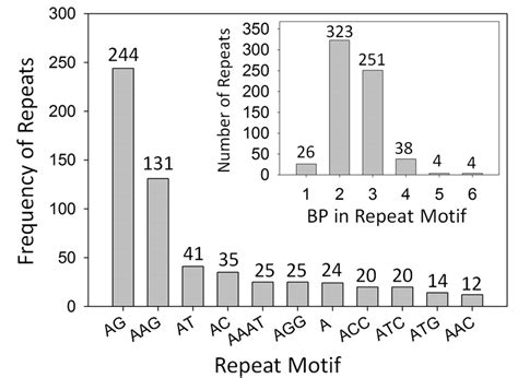 Motifs And Frequency Of Repeats Detected In Pouteria Sapota