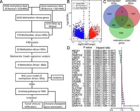 Selection Of Methylation Related Differentially Expressed Genes