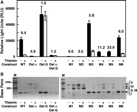 Mutational Analysis Of The And Interaction In The Ncu Tpp