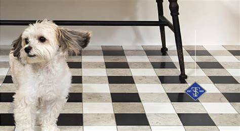 Why Tile Is The Best Flooring Option For Asthma And Allergies