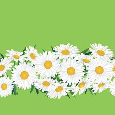 Daisy Border Vector Art, Icons, and Graphics for Free Download